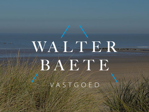 Webdesign voor vastgoedmakelaar Walter Baete